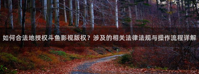 黑蚂蚁影视电视剧：如何合法地授权斗鱼影视版权？涉及的相关法律法规与操作流程详解