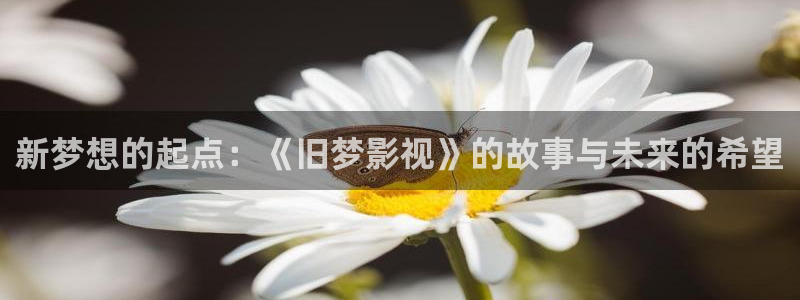黑蚂蚁 电视剧：新梦想的起点：《旧梦影视》的故事与未来的希望