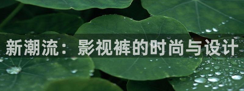 黑蚂蚁免费：新潮流：影视裤的时尚与设计