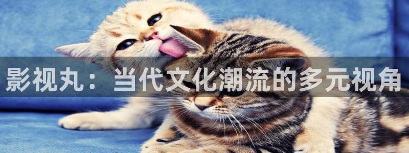 黑蚂蚁影院影视：影视丸：当代文化潮流的多元视角