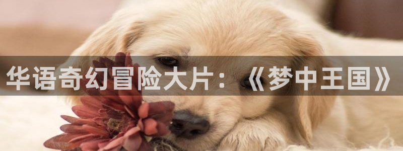 蚂蚁影视 黑蚂蚁电影院：华语奇幻冒险大片：《梦中王国》