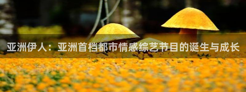 黑蚂蚁影院电视剧大全：亚洲伊人：亚洲首档都市情感综艺节目的诞生与成长