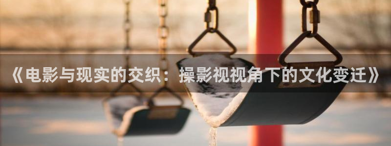 黑蚂蚁 电视剧：《电影与现实的交织：操影视视角下的文化变迁》