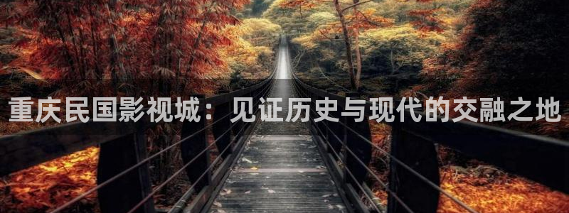 黑蚂蚁影视剧大全：重庆民国影视城：见证历史与现代的交融之地