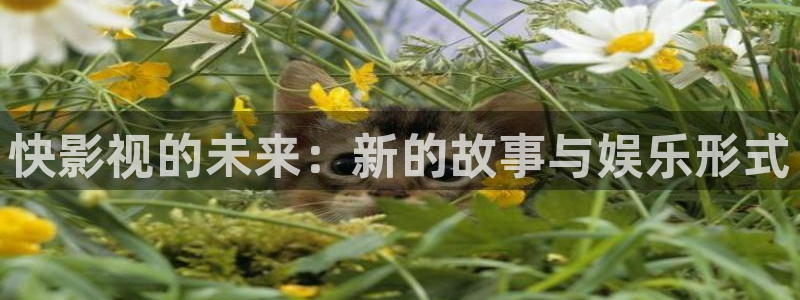 黑蚂蚁影视最新电影：快影视的未来：新的故事与娱乐形式